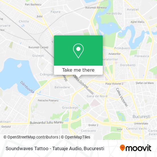 Soundwaves Tattoo - Tatuaje Audio map