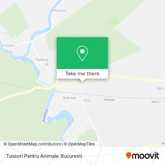 Tunsori Pentru Animale map