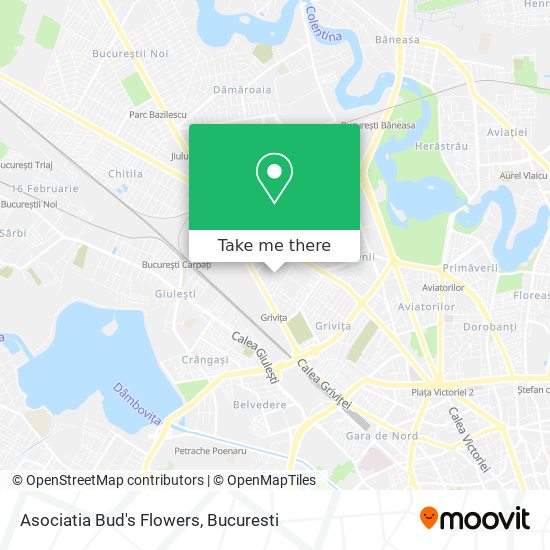 Asociatia Bud's Flowers map