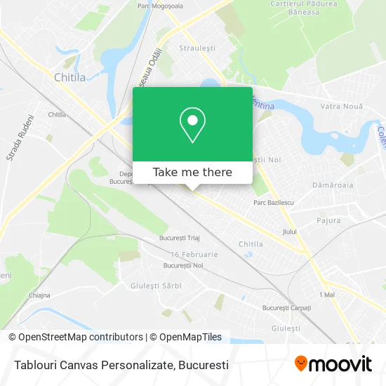 Tablouri Canvas Personalizate map