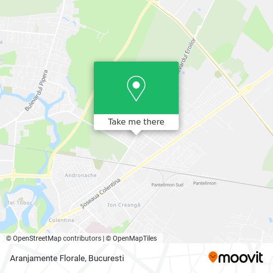 Aranjamente Florale map