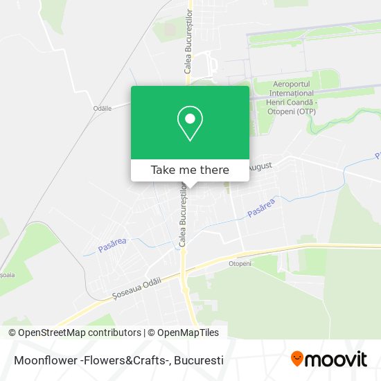 Moonflower -Flowers&Crafts- map