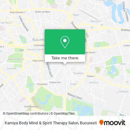 Kamiya Body Mind & Spirit Therapy Salon map