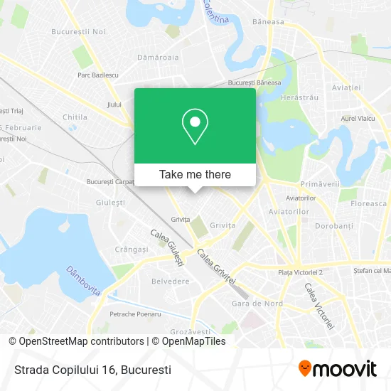 Strada Copilului 16 map