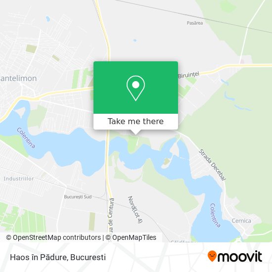Haos în Pădure map