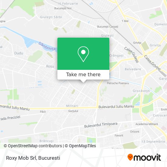 Roxy Mob Srl map