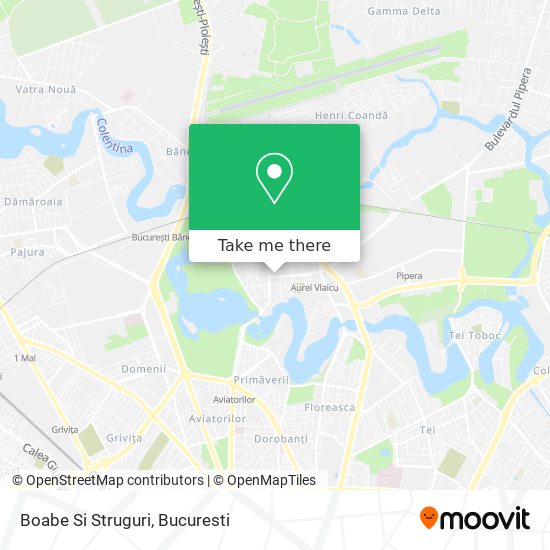 Boabe Si Struguri map