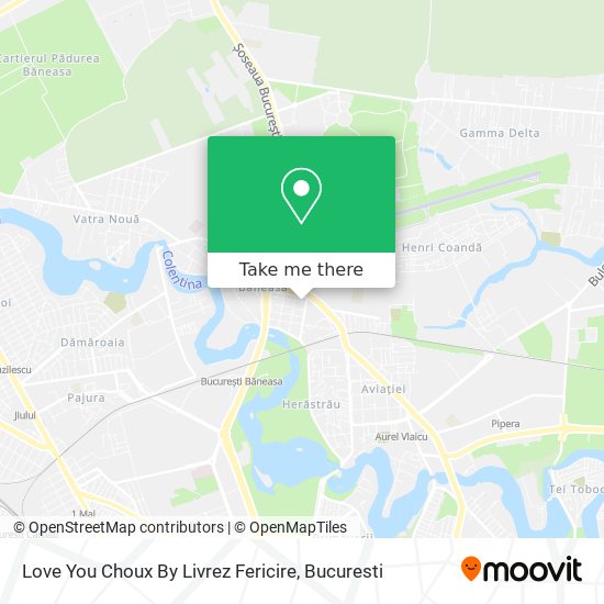 Love You Choux By Livrez Fericire map
