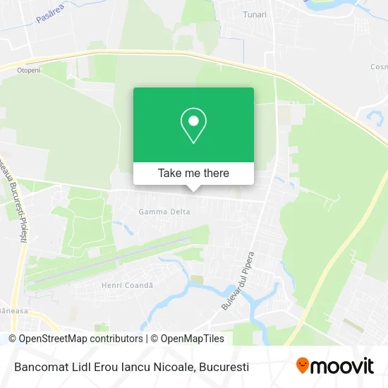 Bancomat Lidl Erou Iancu Nicoale map