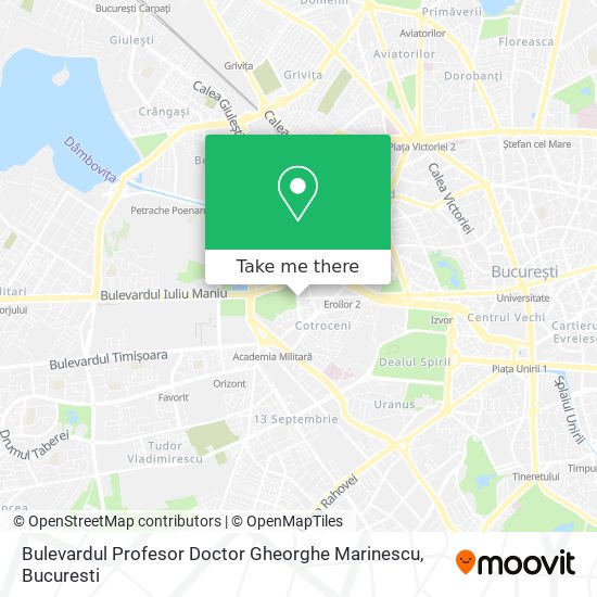 Bulevardul Profesor Doctor Gheorghe Marinescu map