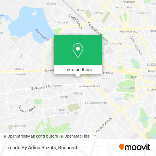 Trends By Adina Buzatu map