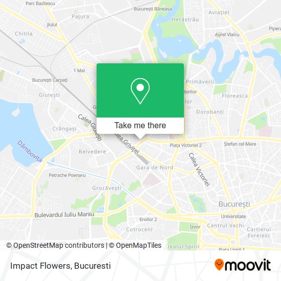 Impact Flowers map