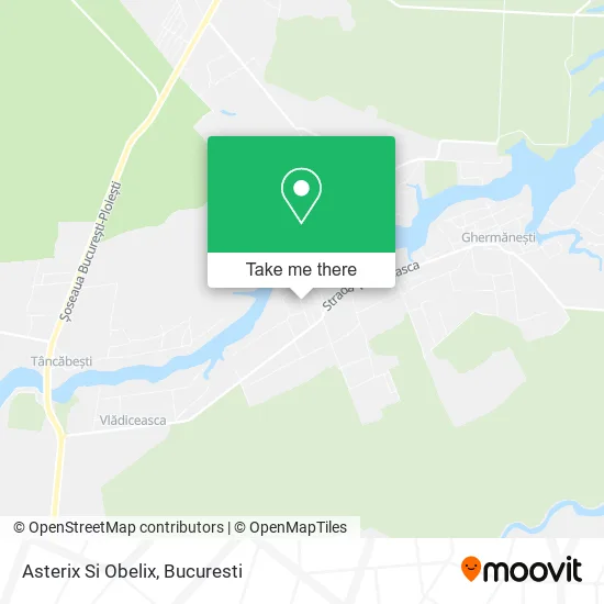 Asterix Si Obelix map
