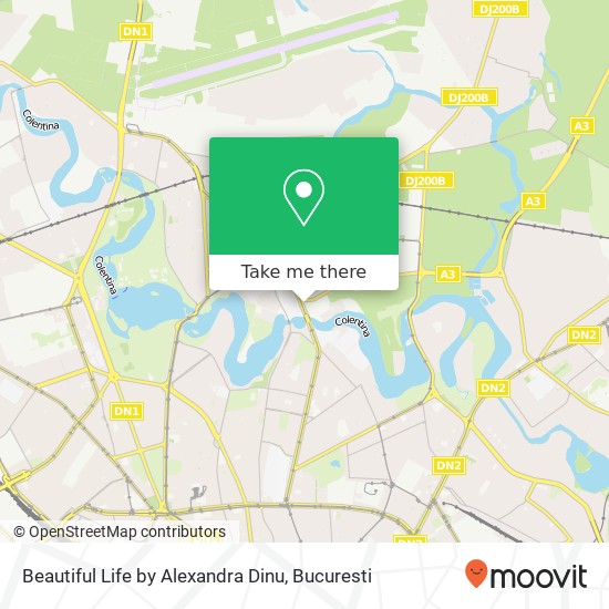 Beautiful Life by Alexandra Dinu map