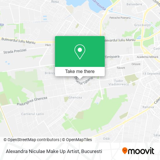 Alexandra Niculae Make Up Artist map