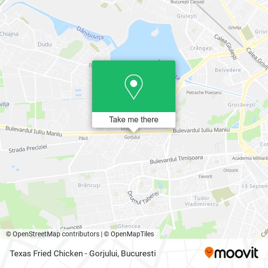 Texas Fried Chicken - Gorjului map