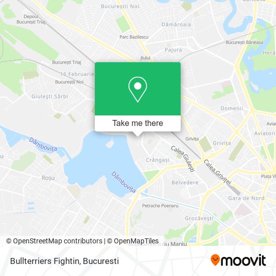 Bullterriers Fightin map