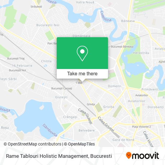 Rame Tablouri Holistic Management map