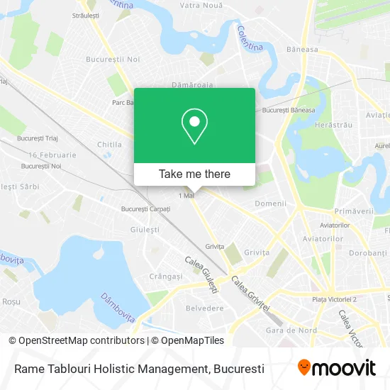 Rame Tablouri Holistic Management map
