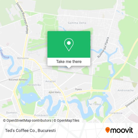 Ted's Coffee Co. map