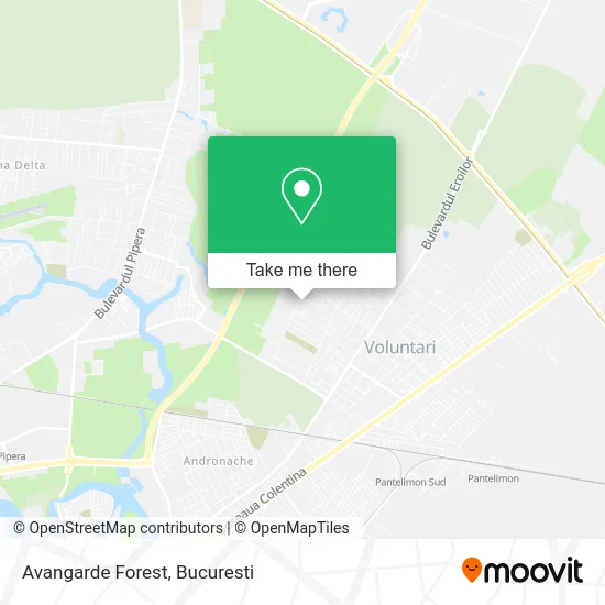 Avangarde Forest map