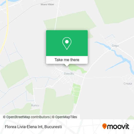 Florea Livia-Elena Int map