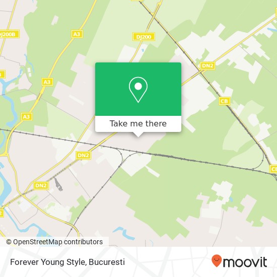 Forever Young Style map