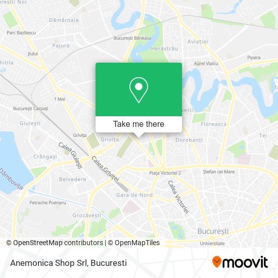 Anemonica Shop Srl map