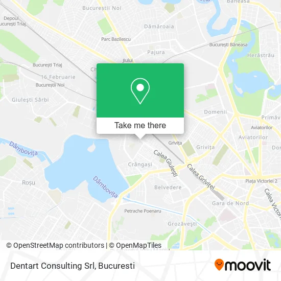 Dentart Consulting Srl map