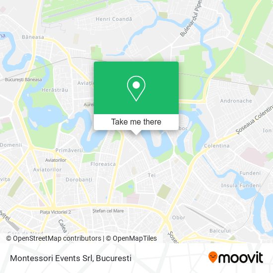 Montessori Events Srl map