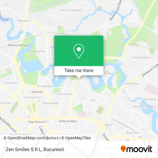 Zen Smiles S R L map