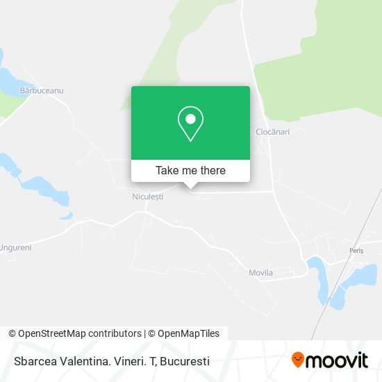 Sbarcea Valentina. Vineri. T map