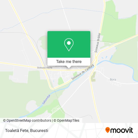 Toaletă Fete map