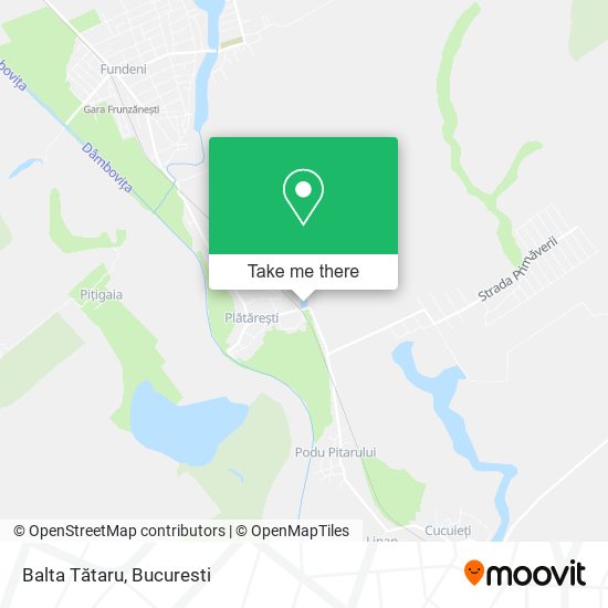 Balta Tătaru map