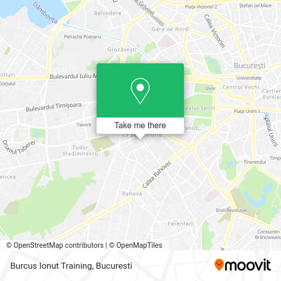 Burcus Ionut Training map