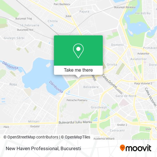 New Haven Professional map