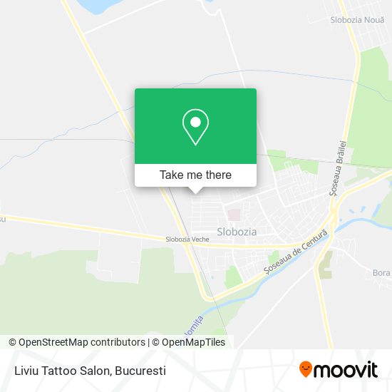Liviu Tattoo Salon map