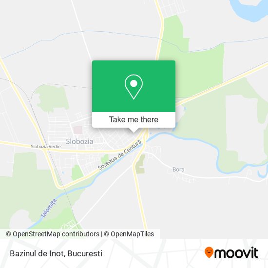 Bazinul de Inot map