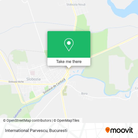 International Parvescu map