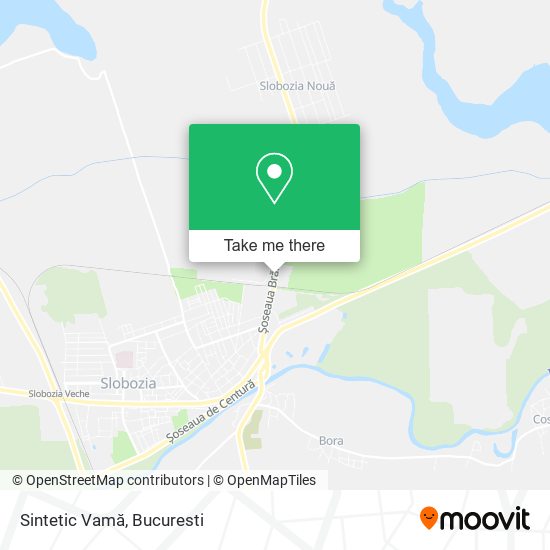 Sintetic Vamă map