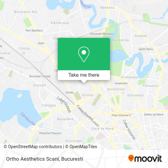 Ortho Aesthetics Scanl map