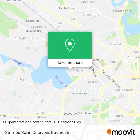 Strimbu Sorin Octavian map