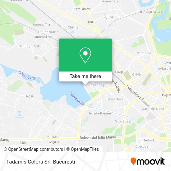 Tadamis Colors Srl map