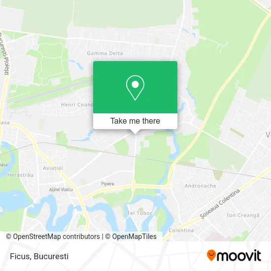 Ficus map