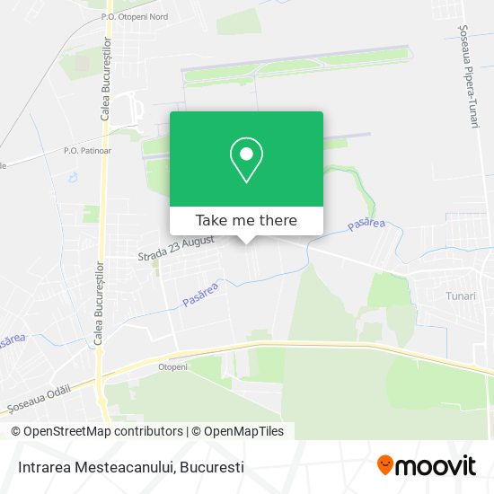 Intrarea Mesteacanului map