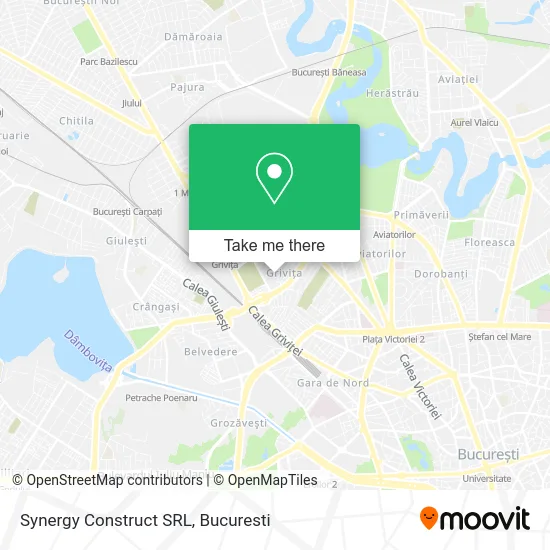 Synergy Construct SRL map