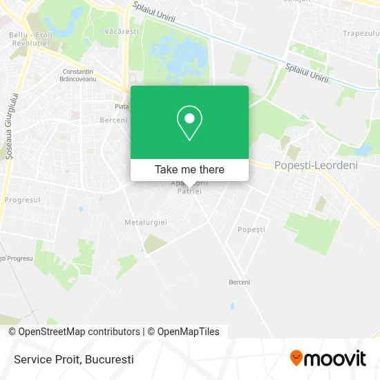 Service Proit map