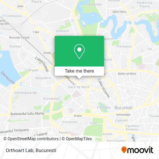 Orthoart Lab map
