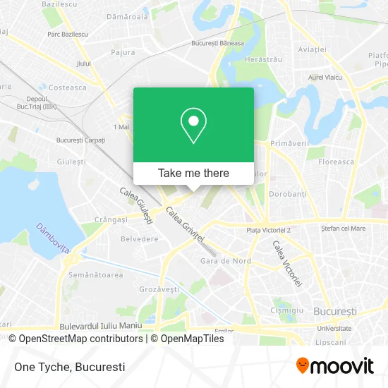 One Tyche map