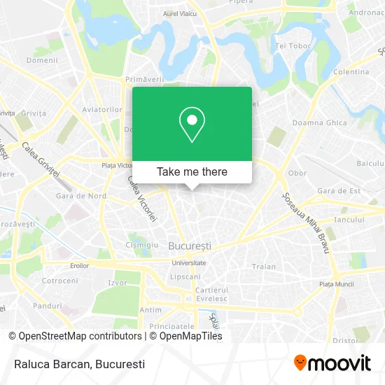 Raluca Barcan map